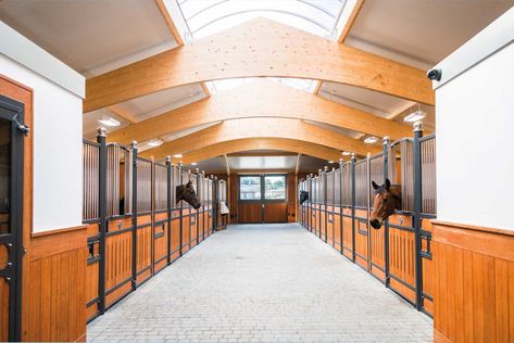 Forest Oaks Equestrian, Dream Barn Stables, Equestrian Stables, Horse Barn Ideas Stables, Horse Family, Horse Barn Designs, Dream Stables, Dream Horse Barns, Horse Barn Plans