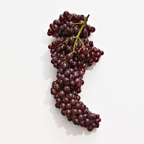 Champagne grapes on a white surface. Types Of Grapes, Grape Pie, Cotton Candy Grapes, Champagne Grapes, Purple Grapes, Green Grapes, Grape Juice, Holiday Red, Sweet Tarts