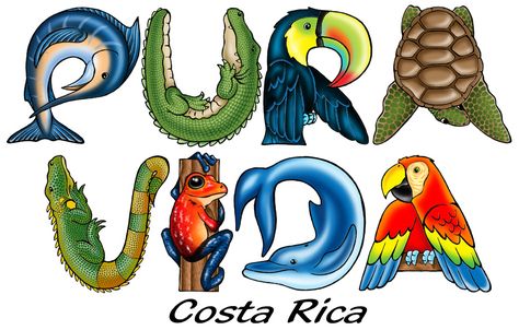 Pura Vida Costa Rica Pura Vida Tattoo Costa Rica, Costa Rica Drawing, Costa Rica Facts, Coata Rica, Costa Rica Tattoo, Costa Rica Art, Costa Rico, Canada Tattoo, Costa Rica Wildlife