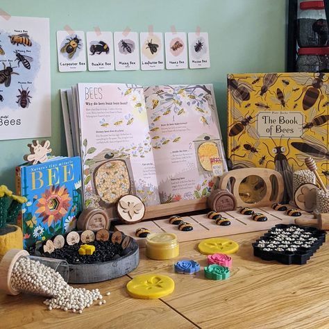 Reggio Bee Provocation, Bee Provocations, Insect Project, Classical Homeschool, Unit Studies Homeschool, Montessori Parenting, Forest School Activities, Bee Day, Nature School