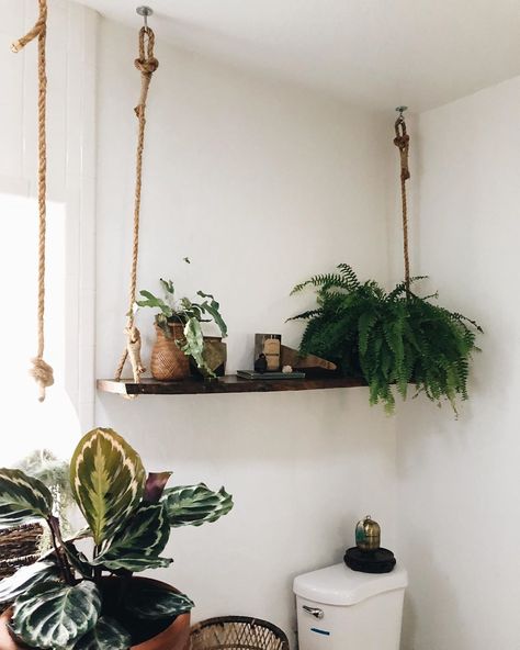 Nicole | A Modern Farmstead’s Instagram profile post: “What do you do when your walls are cinderblock and hanging shelves is quite the feat? You hang the shelf from the ceiling of course!  I…” Live Edge Hanging Shelves, Ceiling Suspended Shelves, Shelf From Ceiling, Ceiling Shelf, Suspended Shelves, Hanging Rope Shelves, Ceiling Shelves, Plant Hanging, Shelf Support