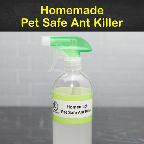 7+ Easy Homemade Pet Safe Ant Killer Solutions Pet Safe Ant Killer Outdoor, Pet Safe Ant Killer Indoor, Ant Repellent Diy Indoor Pet Safe, Homemade Ant Killer For Inside, Diy Ant Killer, Ant Spray Diy Homemade, Ant Hill Killer, Diy Ant Killer Indoor, Homemade Ant Killer For Outside