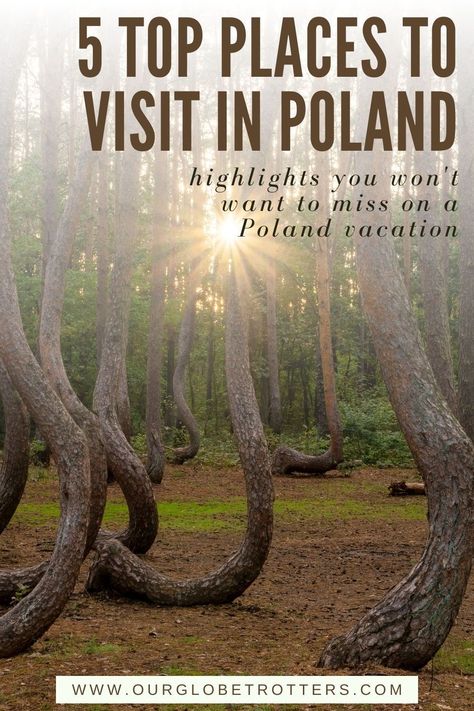 Plan your trip to Poland - here are 5 interesting places you'll want to include on a Poland itinerary picking up on the country's intriguing history and natural wonders | Poland vacation | Europe vacation ideas | Our Globetrotters Poland Itinerary, Poland Beach, Poland Trip, Poland Nature, Poland Vacation, Travel Poland, Traveling Bucket List, Living Overseas, Vacation Europe