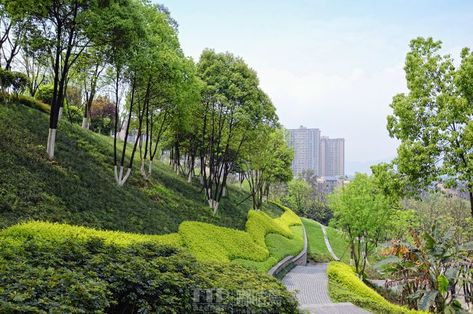 Landscape Contour Design, Planting Layout, Landscaping A Slope, Gate Designs Modern, Green Terrace, Landscape Architecture Drawing, Pond Landscaping, Sloped Garden, Park Landscape