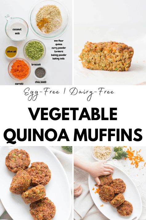 Made with healthy ingredients like broccoli, carrots, and quinoa, these egg and dairy-free vegetable muffins with quinoa are perfect for baby led weaning Lentil Baby Led Weaning, Plant Based Baby Led Weaning, Egg Free Blw Recipes, Egg Free Blw, Quinoa Blw Recipes, Egg Bites Baby Led Weaning, Quinoa Blw, Quinoa Baby Led Weaning, Baby Led Weaning Vegetables