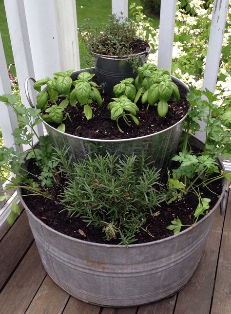 Herb Garden For Deck, Deck Herb Garden Ideas, Herb Garden Front Porch, Herb Porch Planters, Multi Herb Planter, Back Porch Herb Garden, Unique Herb Garden Ideas, Deck Herb Garden Ideas Planters, Herb Garden In Pots Outdoors