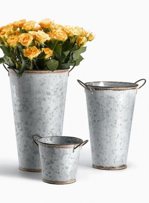 French metal florists flower vases Jamali Fall Container Plants, French Flower Bucket, Galvanized Buckets, Tin Flowers, Ceremony Chairs, Bridesmaid Luncheon, Company Picnic, French Flowers, Metal Bucket