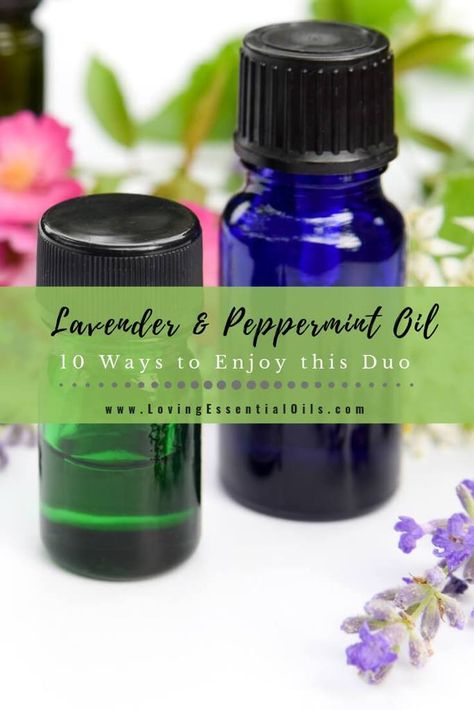 Lavender and Peppermint Oil - 10 Ways to Enjoy this Powerful Duo by Loving Essential Oils Peppermint Essential Oil Benefits, Lavender Essential Oil Benefits, Lavender Essential Oil Uses, Peppermint Tea Benefits, Essential Oil Inhaler, Cardamom Essential Oil, Oils Essential, Essential Oil Combinations, Essential Oils For Headaches