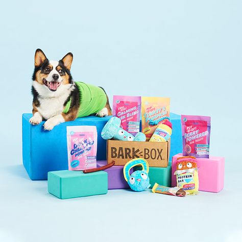 Best Dog Toys, Monthly Box, Natural Dog Treats, Bark Box, Subscription Gifts, Dog Party, Different Dogs, Free Dogs, Large Dogs