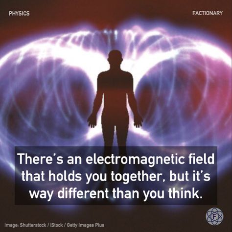 Pauli Exclusion Principle, Morphogenetic Field, Particles Of Matter, Physics Lessons, Earth's Magnetic Field, Electromagnetic Field, Electric Field, Human Soul, Quantum Physics