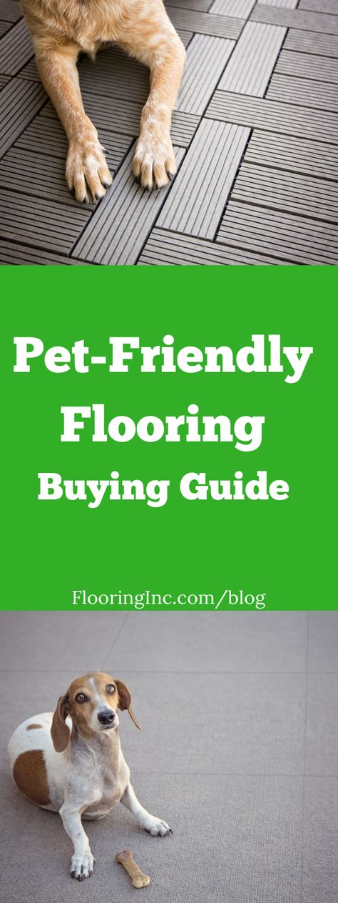 This ultimate Pet-Friendly Flooring Buying Guide will help you find a floor that is both comfortable for pets and resilient to their paws, claws and hooves - while still adding style to your space. New Flooring Ideas, Dog Friendly Flooring, Basements Ideas, Pet Friendly Flooring, Accent Wall Stencil, Grey Wood Floors, Cheap Flooring, Hallway Carpet Runners, New Flooring