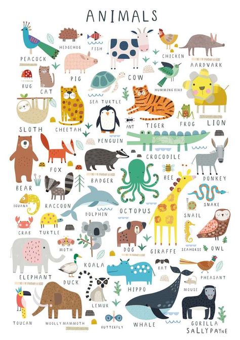 Scrapbook | Sally Payne Sally Payne, Zoo Theme, Cute Animal Illustration, Childrens Wall Art, Wall Art Nursery, Alphabet Poster, Writing Center, Animal Posters, Childrens Illustrations