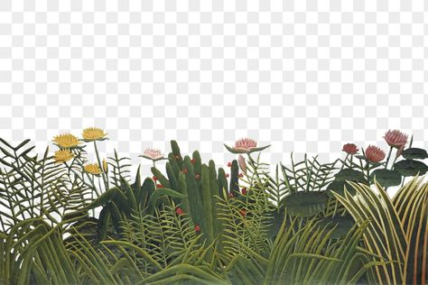 Vegetation Illustration, Vintage Flower Border, Collage Plants, Henri Rousseau Paintings, Png Nature, Flowers Arch, Botanical Background, Banner Clip Art, Botanical Collage