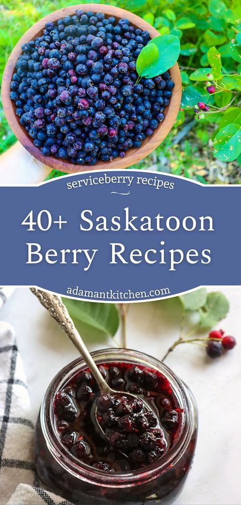 Saskatoon Berry Crisp Recipe, Saskatoon Syrup Recipe, June Berry Recipes, Saskatoon Desserts, Saskatoon Berry Tarts, Service Berry Recipes, Saskatoon Jam Recipe, Juneberry Recipes, Serviceberry Recipes