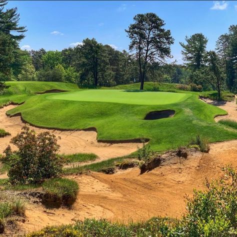 Bored Cat, Seve Ballesteros, Famous Lighthouses, Famous Golf Courses, Course Design, Pine Valley, Pga Championship, Great Names, Torrey Pines