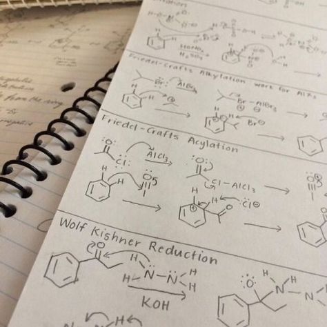 Olive Smith, Adam Carlsen, Organized Notes, Studying Inspiration, Science Major, The Love Hypothesis, Love Hypothesis, Ali Hazelwood, Pharmacy Student