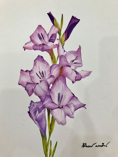 Kitipong Maksin — Gladiolus Flowers, 2017  (1536x2048) Gladiolus Flower Tattoos, Gladiolus Flower, Gladioli, Flower Guide, Floral Drawing, Flower Landscape, Watercolor Painting Techniques, Painting Medium, Botanical Painting