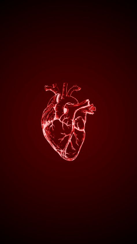 Anatomy Heart Wallpaper, Red Core Aesthetic Wallpaper, Aesthetic Coeur, Cold Hearted Wallpaper, Love Core Aesthetic Red, Big Heart Aesthetic, Red Core Wallpaper, Human Heart Aesthetic, Anatomical Heart Wallpaper