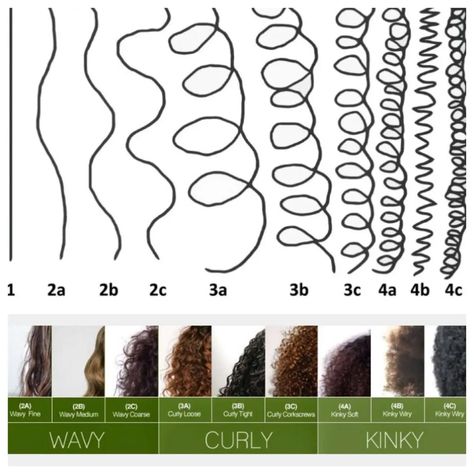 Waves Curly Hair, Fine Wavy Hair, The Curly Girl Method, Fine Curly Hair, Hair Curl, Low Porosity Hair Products, Curly Hair Types, Hair Textures, Curly Hair Updo