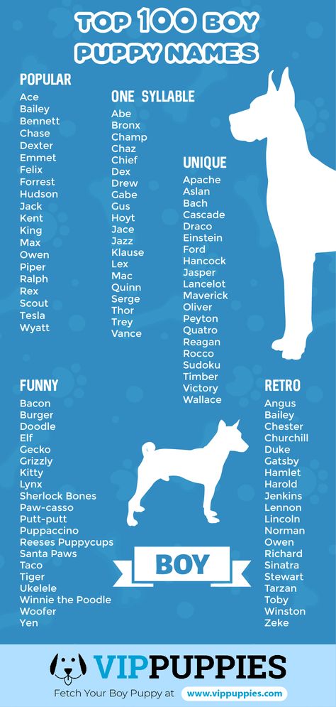 Top 100 puppy names for boys infographic Puppy Names Unique, Boy Puppy Names, Cute Puppy Names, Dog Names Unique, Boy Dog Names, Cute Names For Dogs, Puppy Names, Cute Names, Boy Dog