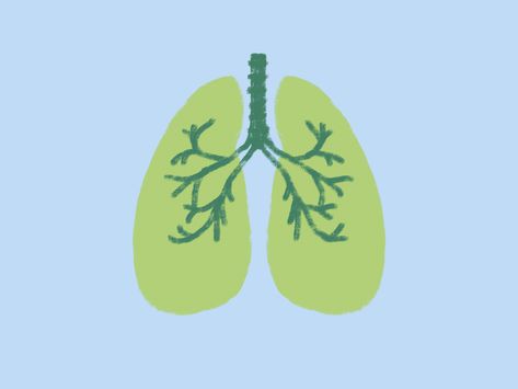 Earth's Burning Lungs Amazonia | Illustration GIF by Milena Trifonova Medicine Illustration, Illustration Gif, Animation Characters Tattoo, Earth Day Posters, Medical Wallpaper, Graphic Animation, Pub Chairs, Animation Explainer Video, After Effect