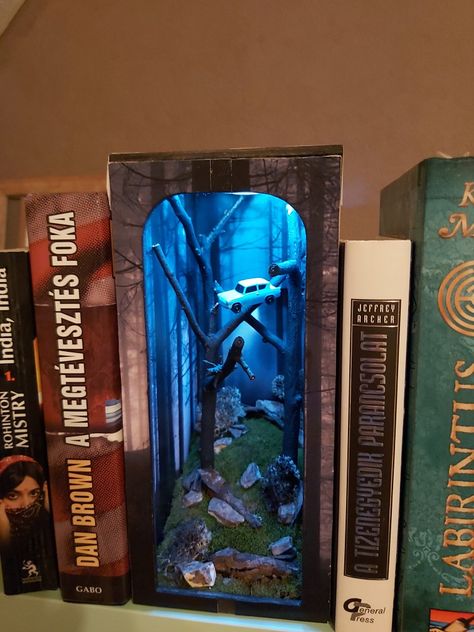 Winter Book Nook, Diy Book Nook Harry Potter, Book Nook Twilight, Halloween Book Nook, Book Nook Shelf Insert Diy Harry Potter, Hunger Games Book Nook, Harry Potter Book Nook Diy, Book Nooks Ideas, Alice In Wonderland Book Nook