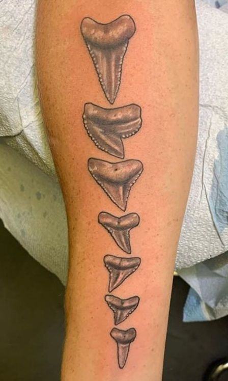 Realistic Shark Tooth Tattoo, Shark Teeth Spine Tattoo, Sharks Teeth Tattoo, Megladon Tooth Tattoo, Teeth Spiritual Meaning, Sharks Tooth Tattoo, Algae Aesthetic, Neoclassical Tattoo, Shark Teeth Tattoo