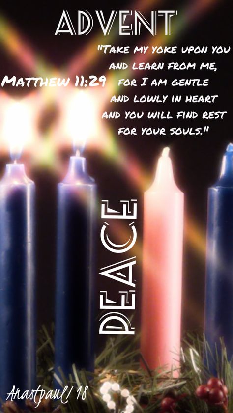 2nd Sunday Of Advent Candle, 2nd Week Of Advent, 2nd Sunday Of Advent, Second Week Of Advent, December Prayers, St Alphonsus Liguori, Advent Catholic, Christmas Prayers, Advent Time