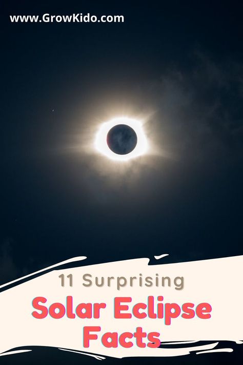 11 Interesting Solar Eclipse facts that will surely be going to amaze you. Solar Eclipse Fact- 3 is the most surprising one. #SolarEclipse #Eclipse #SolarEclipseFacts #Facts Solar Eclipse Kids, Eclipse Facts, Solar Eclipse Facts, Solar Eclipse Activity, Eclipse Party, Fun Facts For Kids, Homeschool Social Studies, Fun Projects For Kids, Solar Eclipses