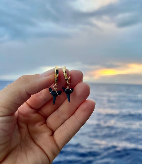 Gold-filled hoops with a wire-wrapped fossilized sharks tooth charm.  Sharks teeth will vary with each order. If you would like to see a photo of the teeth you are purchasing, send me a message and I will accommodate that. Shark Teeth Earrings, Shark Tooth Earrings, Shark Teeth Jewelry, Sharks Tooth, Beachy Earrings, Sharks Teeth, Tooth Charm, Ocean Inspired Jewelry, Beachy Jewelry