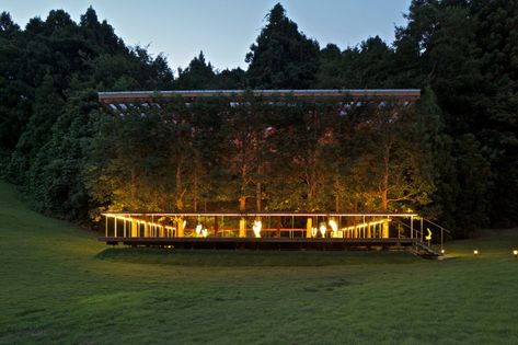 APL Design Workshop creates foyer disguised by trees for open-air theatre White Arbor, Converted Shipping Containers, Open Air Theater, Outdoor Stage, Outdoor Theater, Design Workshop, Japanese Architect, Tower Building, Workshop Design