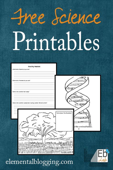 Science Printables and Freebies | Elemental Blogging Free Science Printables, Science Printables, 7th Grade Science, 8th Grade Science, Interactive Science, Science Notebooks, 4th Grade Science, 6th Grade Science, Interactive Science Notebook