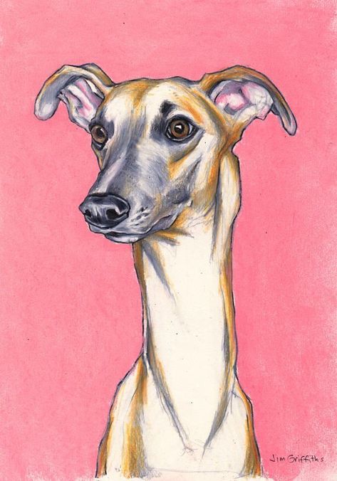 Whippet Drawing, Whippet Art, Cute Monster Illustration, Greyhound Art, Custom Pet Art, Draw Animals, I Love Drawing, Whippet Dog, Drawing Animals