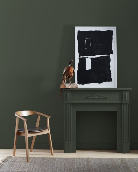 Topsoil CC-692 | Benjamin Moore Forest Green Benjamin Moore, Black Forest Green Benjamin Moore, Benjamin Moore Black Forest Green, Benjamin Moore Black, Green Benjamin Moore, Benjamin Moore Paint Colors, Black Forest Green, Paint Colors Benjamin Moore, Benjamin Moore Paint