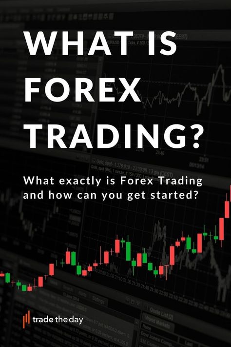 What Is Forex Gold Trading, Stock Market Basics, Forex Trading Quotes, Binary Options Trading, Online Stock Trading, Crypto Money, Stock Trading Strategies, Trading Quotes, Intraday Trading