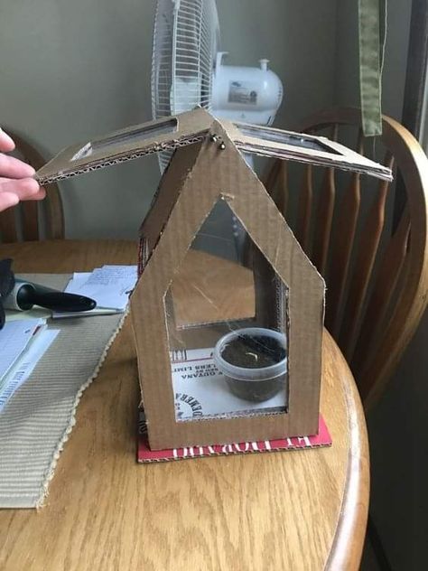 Cardboard Greenhouse, Diy Greenhouse Mini, Cardboard Planters Diy, Mini Greenhouse Diy, Mini Greenhouse Ideas, Diy Indoor Greenhouse, Mini Greenhouse Indoor, Diy Small Greenhouse, Horticulture Projects