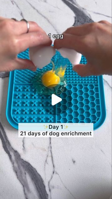 Mika | Golden Retriever on Instagram: "💡Day 1 of 21 Days of Dog Enrichment

Easy, healthy, long lasting. We’re kicking off this series with one of the most genius enrichment hacks we’ve done. 

Prep time: 1 minute
Ingredient: 1 egg
How to: Spread raw egg on microwavable lick mat, microwave 30s. Let it cool before serving. It’s best when the egg is gently cooked. If it’s cooked too much, it might be too hard for them to lick off from the lick mat and cause frustration.😋

IB: @itsatlasthegolden 

#dogenrichment #dogtips #enrichmentfordogs #ditchthebowl #doghacks" Enrichment Dog, Enrichment For Dogs, Dog Enrichment Ideas, Dog Lick Mat, Canine Enrichment, Doggie Treats, Dog Enrichment, Dog Hacks, The Egg