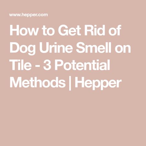 How to Get Rid of Dog Urine Smell on Tile - 3 Potential Methods | Hepper Remove Dog Urine Smell, Pet Urine Remover, Pet Urine Smell, Dog Pee Smell, Urine Remover, Pet Odor Remover, Smell Remover, Cat Urine Smells, Pee Smell