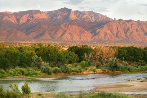 Each year, the Southwest's major river gets drier and drier. A first-of-its-kind donation from local Native American tribes could change that. New Mexico Aesthetic, Sandia Mountains, New Mexico Road Trip, Mexico Style, Albuquerque News, Mexico Culture, Land Of Enchantment, New Mexican, Desert Painting