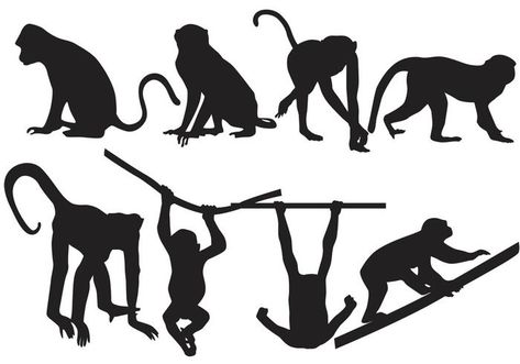 Monkey Silhouette Vectors Monkey Silhouette, Theme Jungle, Monkey Drawing, Jungle Monkey, Creative Fonts, Low Carbon, Vector Free Download, Rose Tattoo, Vector Photo