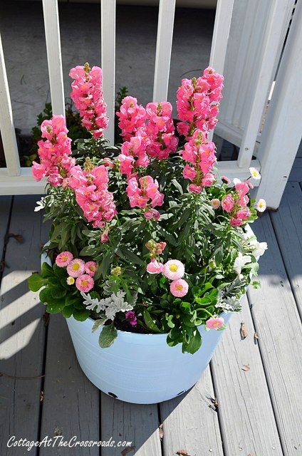 spring flowers in painted pot Planter Designs, Garden Frogs, Modern Plant Stand, Garden Basket, Flower Pots Outdoor, Garden Containers, Container Flowers, Container Plants, Gardening Ideas