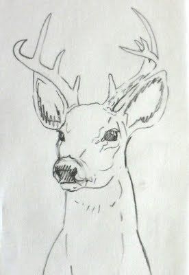 Deer Sketch, Deer Drawing, Animal Drawings Sketches, Deer Art, Arte Sketchbook, A Deer, Pencil Art Drawings, Art Drawings Sketches Creative, Animal Sketches