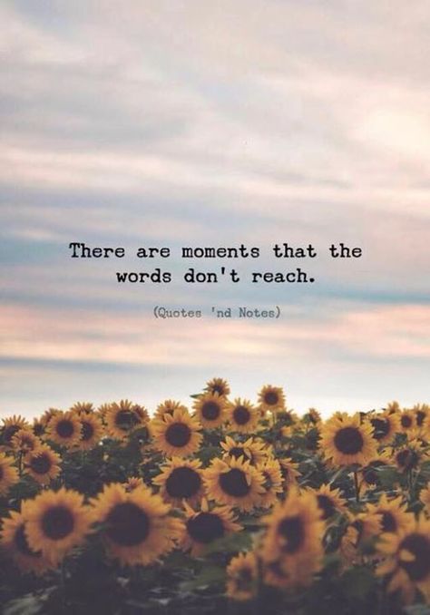 There are moments that the words don’t reach.. —via https://ift.tt/2eY7hg4 Welcome Home Quotes, Citation Nature, Citations Instagram, Moments Quotes, Vibe Quote, Quotes About Photography, Instagram Quotes Captions, Flower Background, Caption Quotes