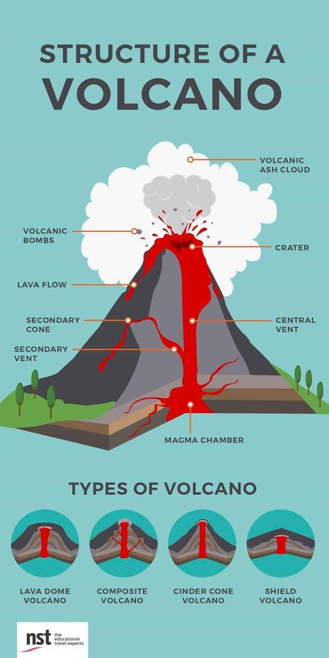 Volcano Volcano Presentation, Volcano Infographic, Volcano Eruption Experiment, Rock Cycle Project, Volcano Parts, Volcano Poster, Change Activities, Types Of Volcanoes, Volcano Science Projects