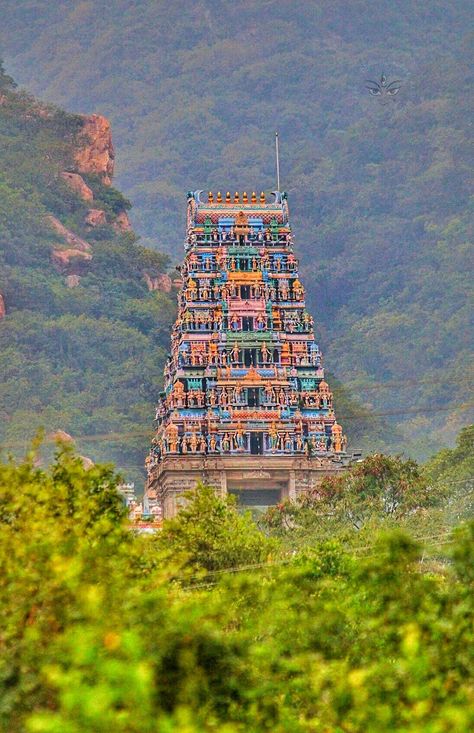 Coimbatore City Photography, Coimbatore City, God Murugan, Light Video, Dj Light, Murugan Wallpapers, Aesthetic View, Lord Murugan Wallpapers, Temple Pictures