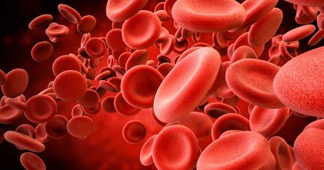 Why do we have different blood types? It seems that there was a distinct advantage in having differing blood groups across the human race, but to what purpose? Iron Deficiency, Red Blood, Red Blood Cells, Blood Type, Blood Cells, Blood Test, Neurology, Brain Health, Kiwi