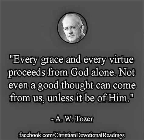 A W Tozer: every grace & every virtue proceeds from God alone. John Calvin Quotes, A W Tozer, Intelligent Words, Prayer Pictures, Grace Alone, Reformed Theology, Christian Love, Christian Motivation, God The Father