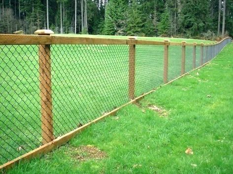 DIY Dog Fence Ideas and Installation Tips: 6 Best Cheap Designs Repurpose Chain Link Fence, Pagar Modern, Hog Wire Fence, Diy Dog Fence, Fence Options, Backyard Dreams, Coop Ideas, Living Fence, Backyard Privacy