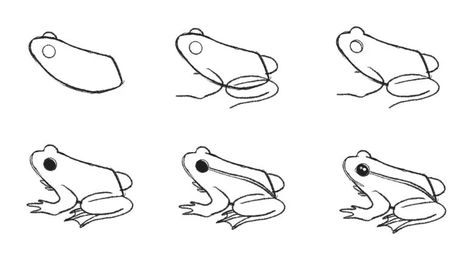 How to Draw a Frog (Step by Step with Pictures) - Jae Johns Forg Drawings, Small Frog Drawing, A Frog Drawing, Frog Drawing Tutorial, Draw A Frog, Frog Sketch, Animal Tutorial, Small Frog, Frog Tattoos