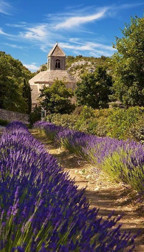 Provence France, French Countryside, Lavender Fields, Lavender Flowers, South Of France, France Travel, Beautiful World, Beautiful Landscapes, Wonders Of The World